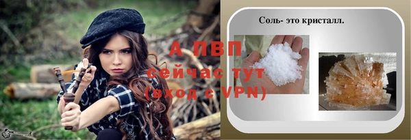 СК Аркадак