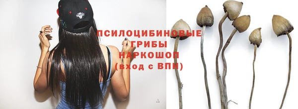 mix Арсеньев
