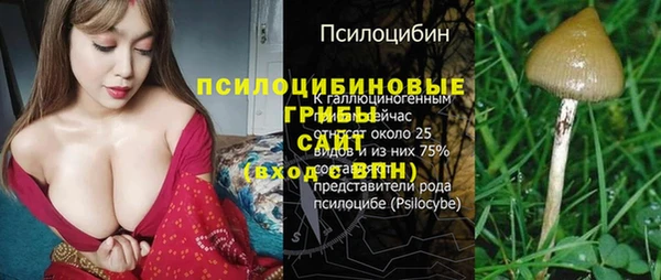 СК Аркадак
