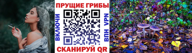 Галлюциногенные грибы Cubensis  Белоусово 